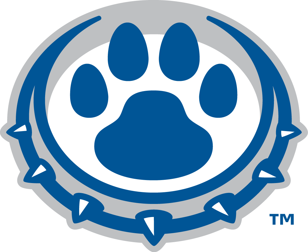 Drake Bulldogs 2015-Pres Alternate Logo 03 decal supplier